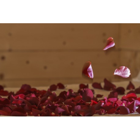 Petals on the bed 